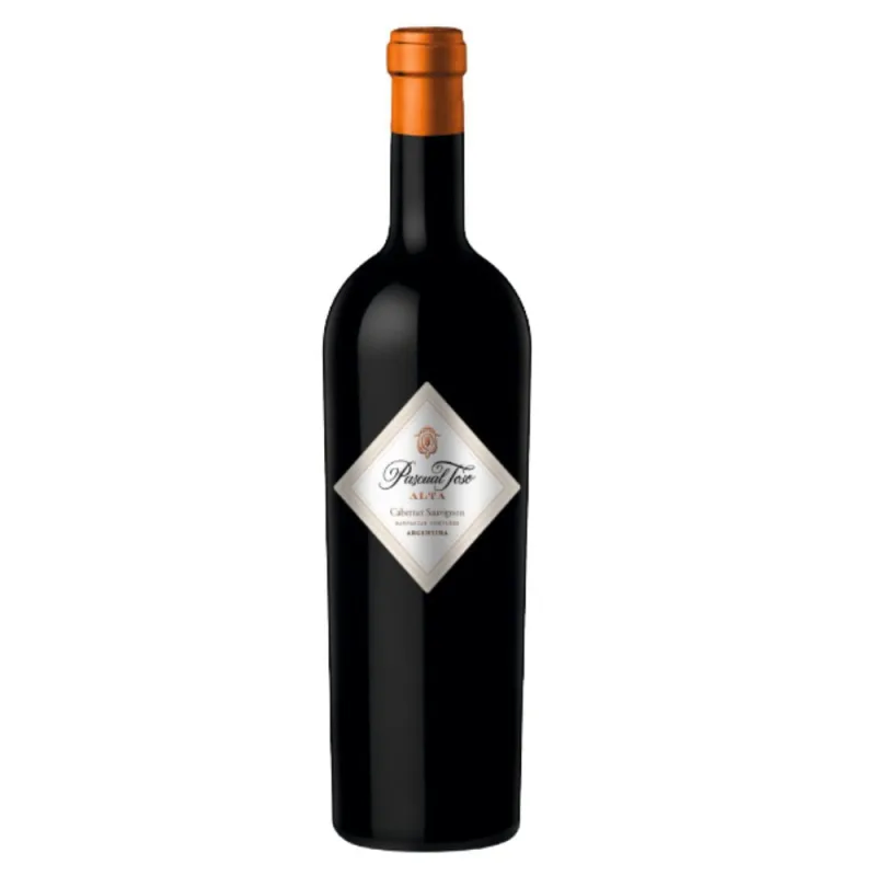 Vinho Tinto Cabernet Sauvignon Alta Reserva Pascual Toso 750ml - Pascual Toso