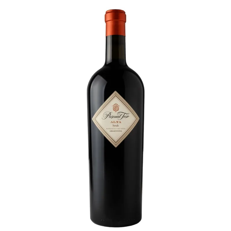 VH ARG PASCUAL TOSO SYRAH ALTA RESERVE 750M - Pascual Toso - Bebidas