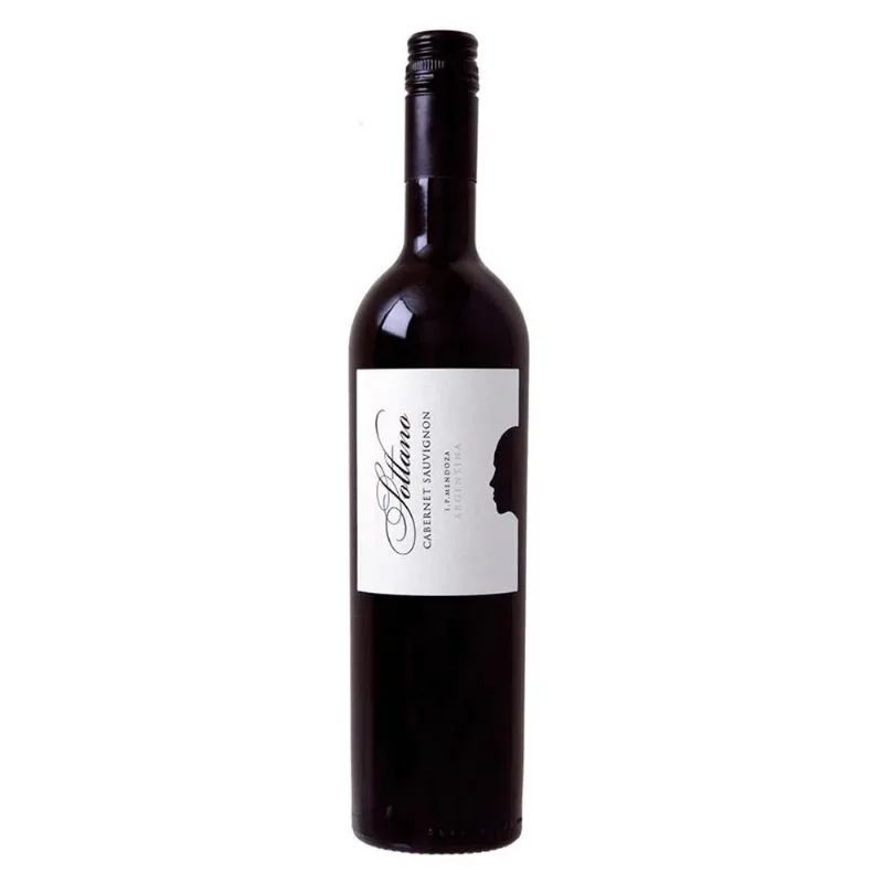 Vinho Tinto Argentino Cabernet Santa Luzia 750ml
