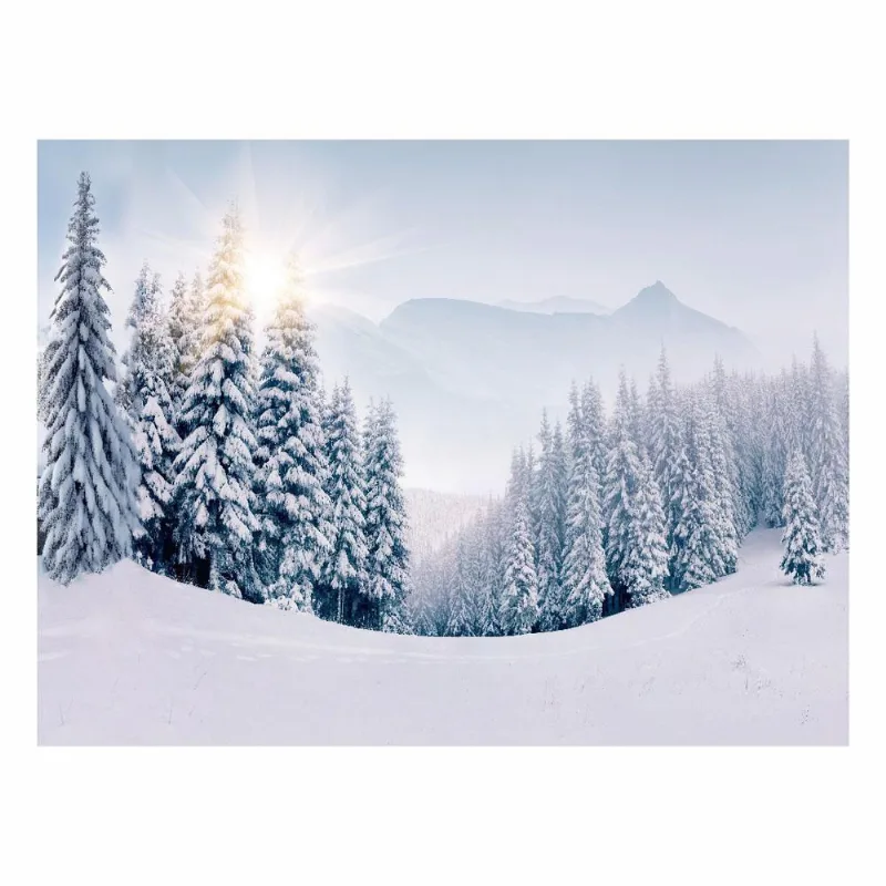 Fundo Fotográfico Cenário Floresta Neve Em Tecido 2,20M