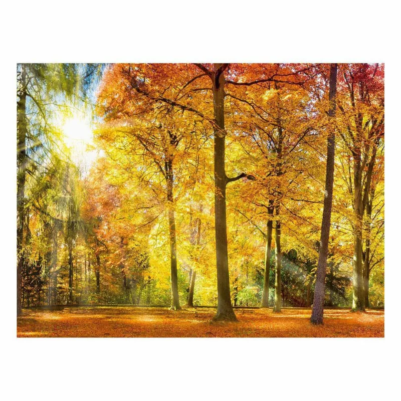 Fundo Fotográfico Cenário Floresta Outono Em Tecido 2,20M