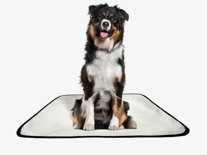 Tapete Pet Reutilizável Adestramento Oferta 7 Un G1 100x120 - Não Informado - Pet Care