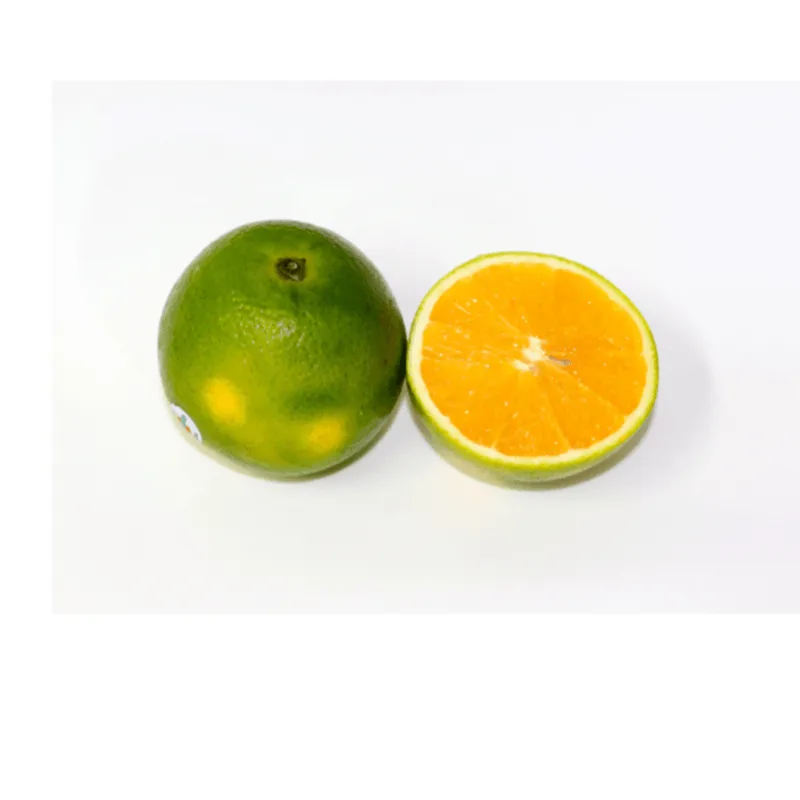 Laranja Pera Rio Orgânico do Chico 500g