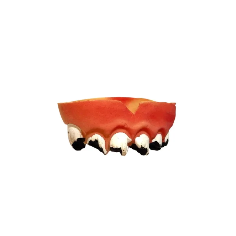 Fantasia dente podre sujo preto dentadura com cáries 1un