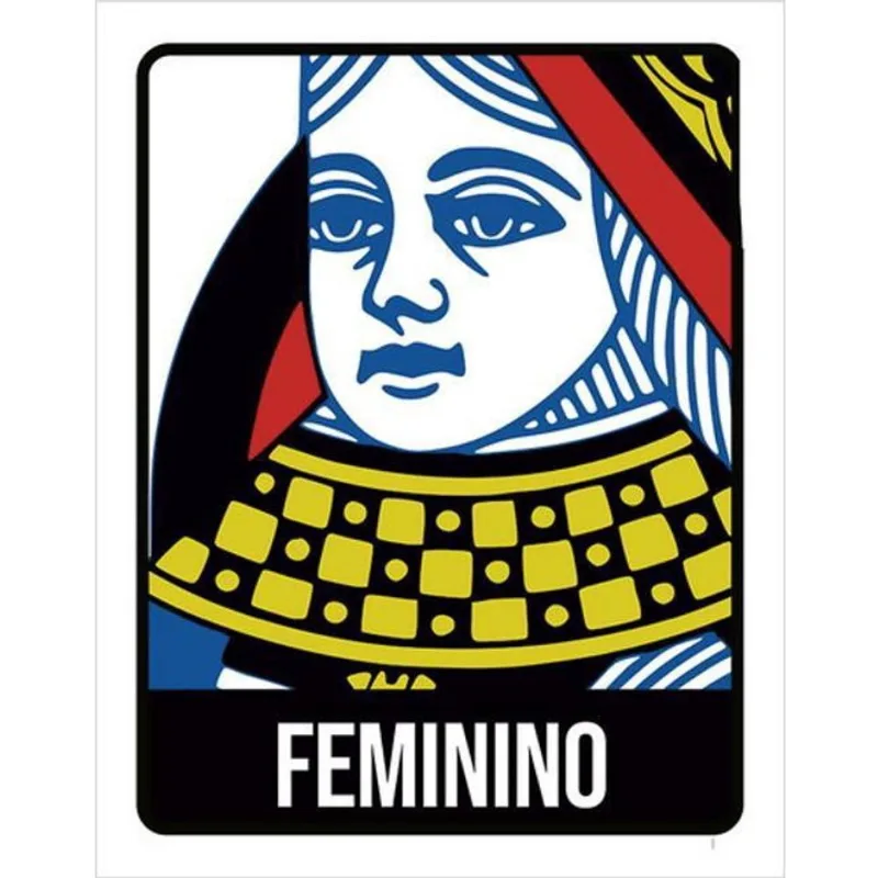 Kit 10 Placas De Banheiro Baralho Feminino 36X46