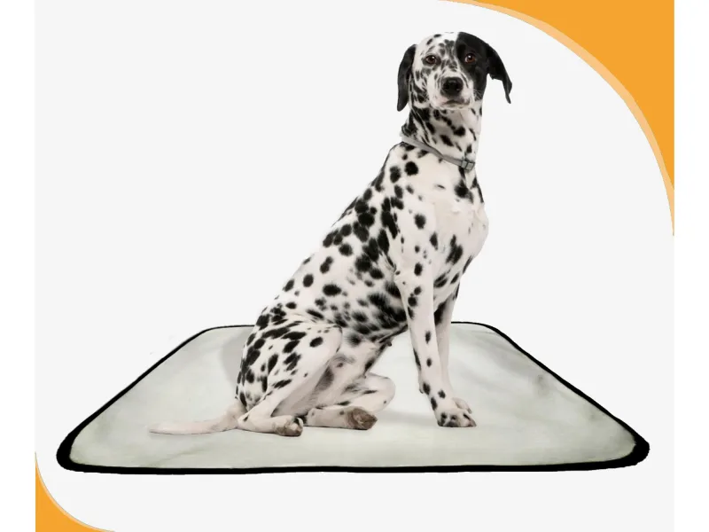 Tapete Adestramento De Cachorros Reutilizável 4un M 60x80 Cm - Não Informado - Pet Care