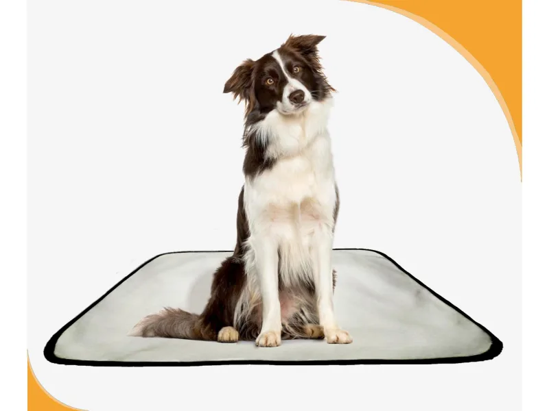 Tapete Adestramento De Cachorros Reutilizável 5un G 90x100 - Não Informado - Pet Care
