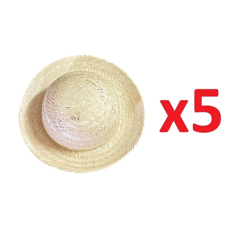 5 Un Mini Chapéu Palha Festa Caipira 25,5Cm São Joao Junina