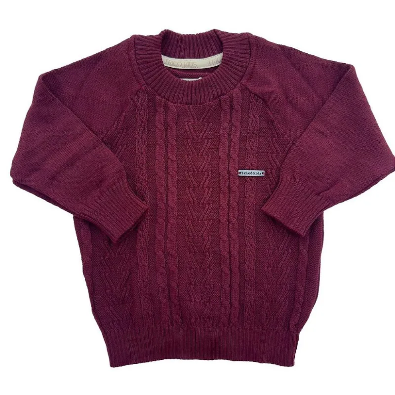 Blusa de Tricô Lucca Texturizada Com Manga Raglan Bordo 6
