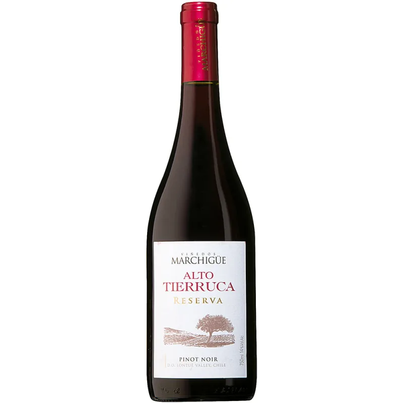 Viñedos Marchigüe Alto Tierruca Reserva Pinot Noir Chileno Vinho Tinto 750ml - Alto Tierruca