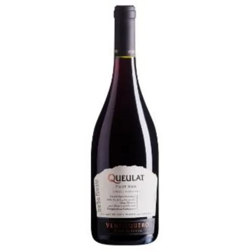 Vinho Chil Ventisq Queulat Pinot Noir