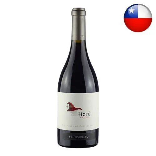 Vn Chi Ventisqueiro Heru P.noir 750ml - Bebidas