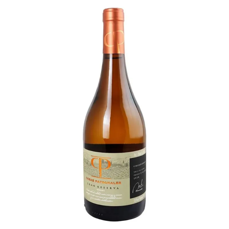 Vinho Chileno Branco Sauvignon Blanc Gran Reserva Casas Patronales 750ml