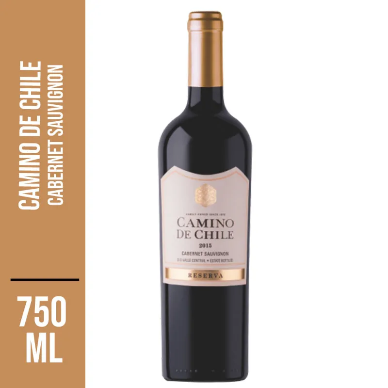 Vinho Chileno Camino de Chile Cabernet Sauvigon Tinto 750ml