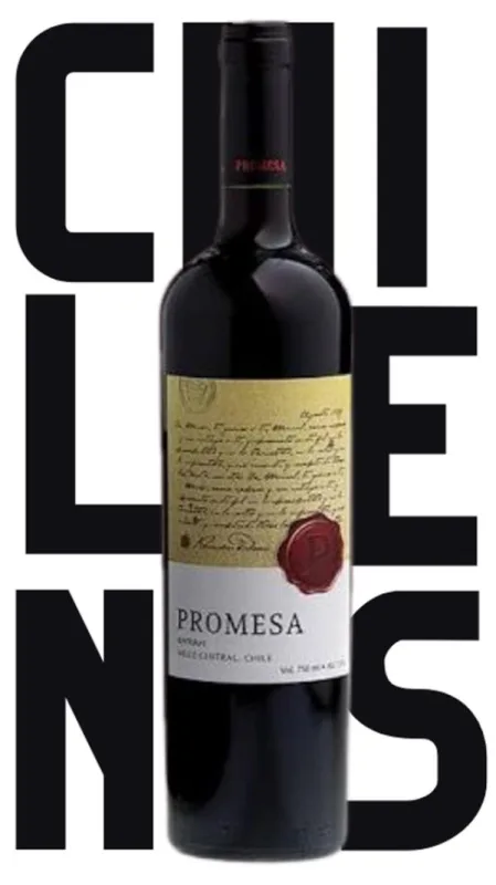 VINHO PROMESA SYRAH 750ML - Não Informado - Bebidas