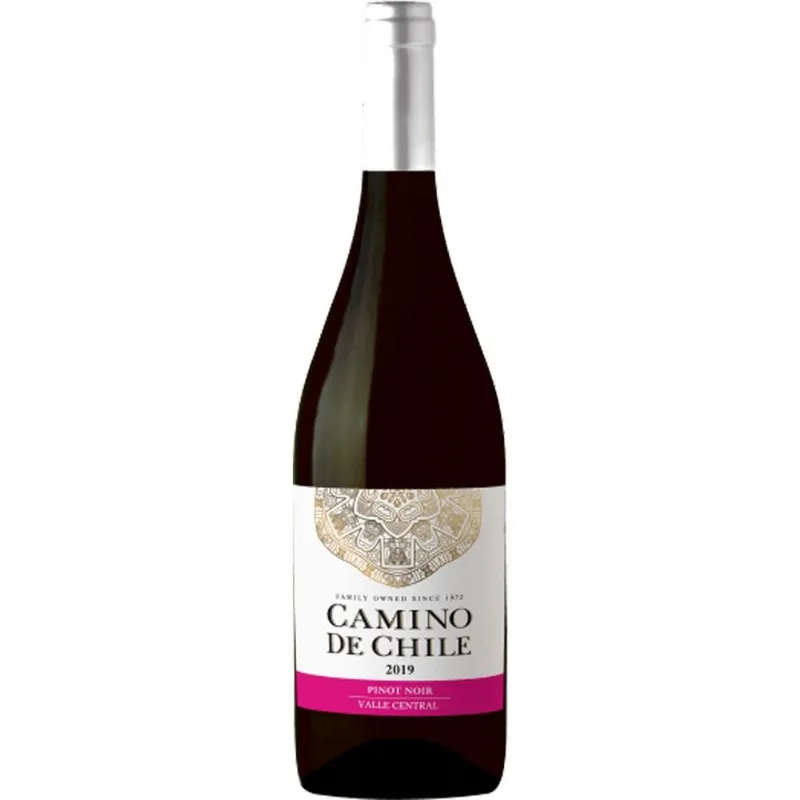 Vinho Chileno Camino de Chile Pink Moscato 750ml