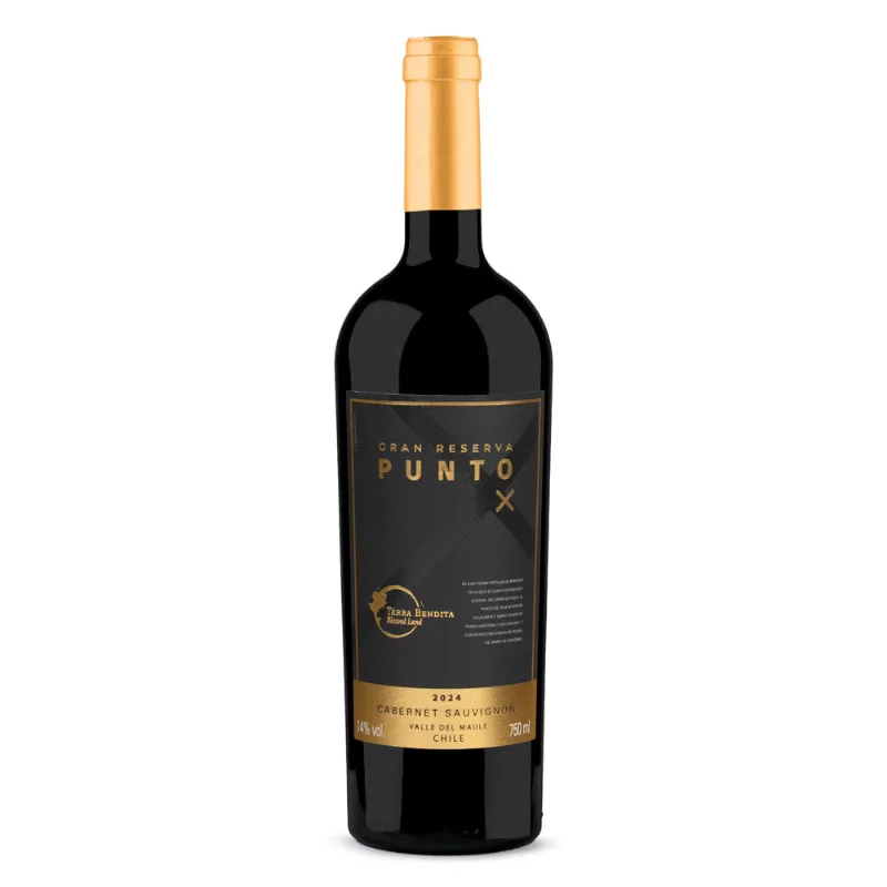 Vinho Tinto Chileno Carbernet Sauvignon Gran Reserva Punto 750ml