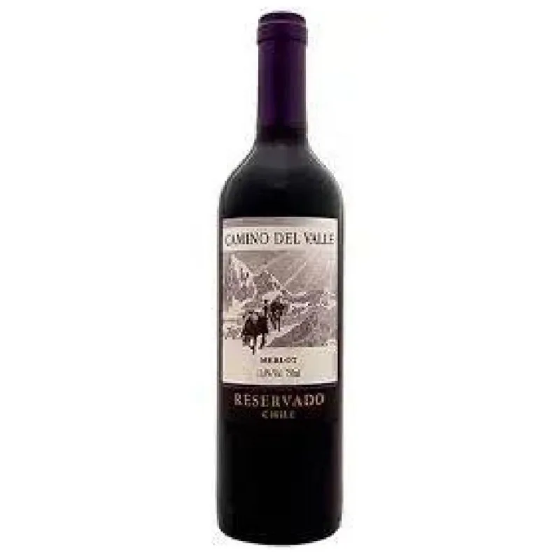Vinho Chileno Camino del Valle Merlot Tinto 750ml