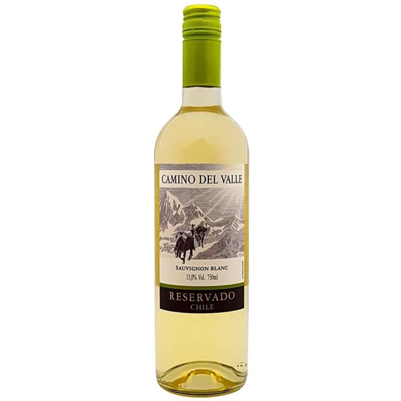 Vinho Camino Del Valle Sauvignon Blanc - Não Informado - Bebidas