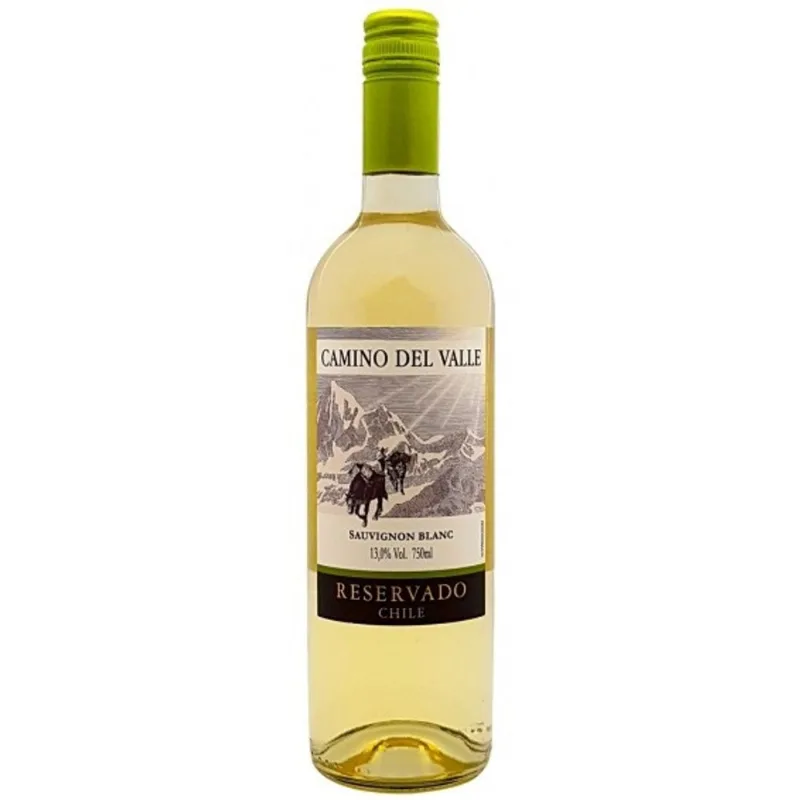 Vinho Chileno Camino del Valle Sauvignon Blanc Branco 750ml