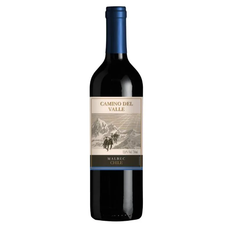 Vinho Chileno Camino del Valle Malbec Tinto 750ml
