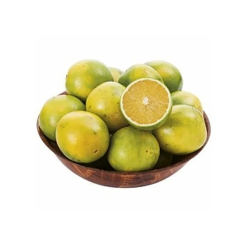 Laranja Terra Pré Cozida Unid