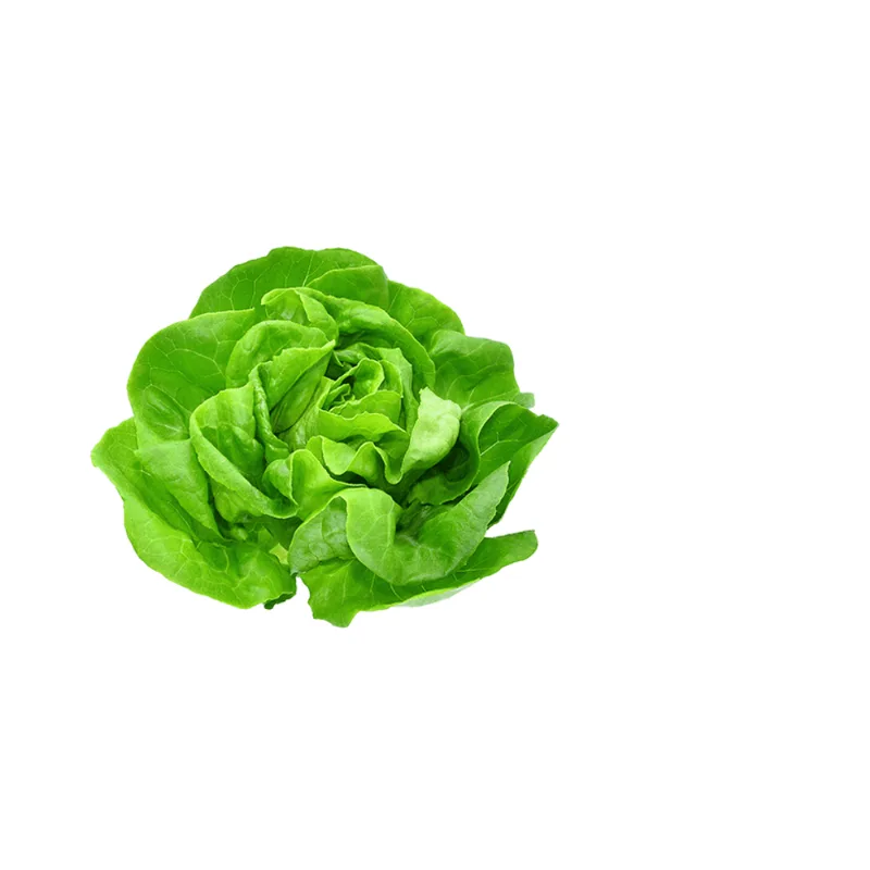 ALFACE LISA PROC 200G Alface Lisa Produzida em 200g.