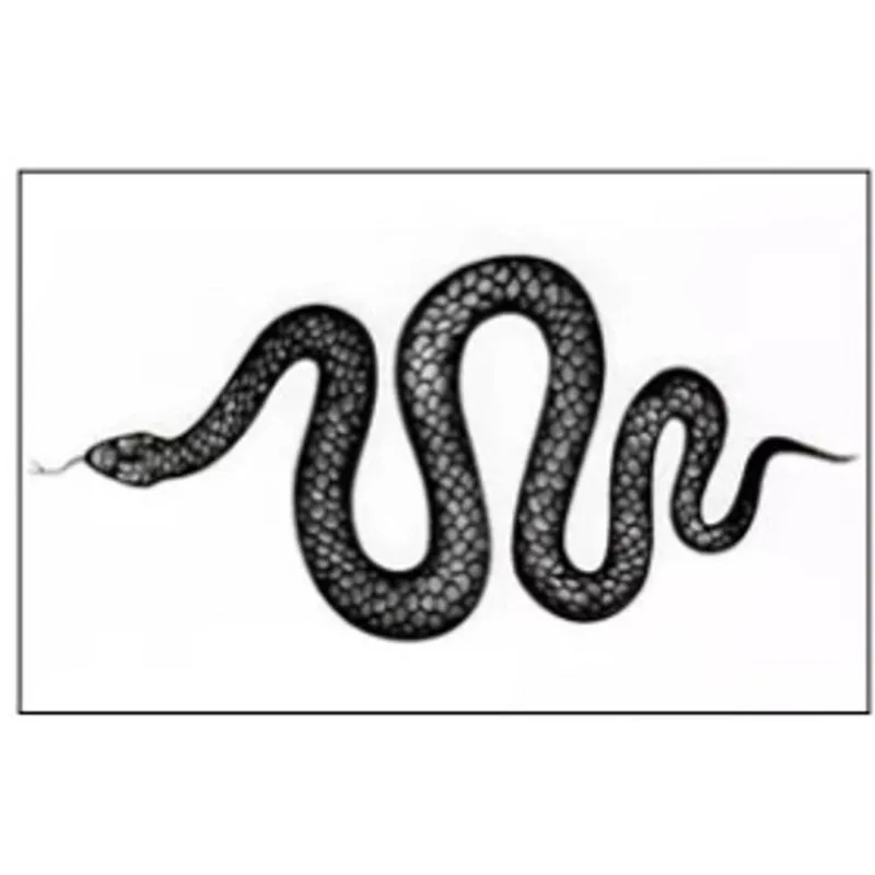 Tatuagem Temporária 3 Peças Rosa Serpente Adesivo T5467