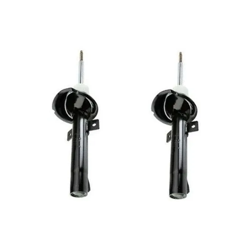 Par Amortecedor Amt 06019g Ford Courier 97/ Dianteiro