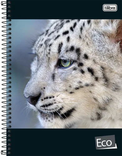 Caderno Universitário Espiral Eco 96 Folhas 500g Tilibra - TILIBRA - Papelaria