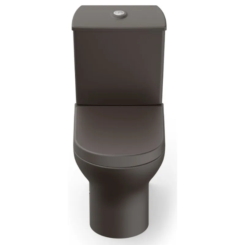 Vaso Sanitário com Caixa Acoplada e Complementos de Instalação e Assento Term Nexo Café Roca