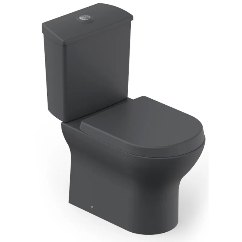 Vaso Sanitário com Caixa Acoplada e Complementos de Instalação e Assento Term Nexo Graf Roca