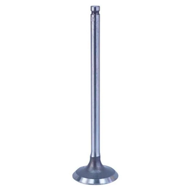 Válvula De Escape Marelli Honda Titan 125 Fan 125 NXR 125 Bros 02/08 (MP)
