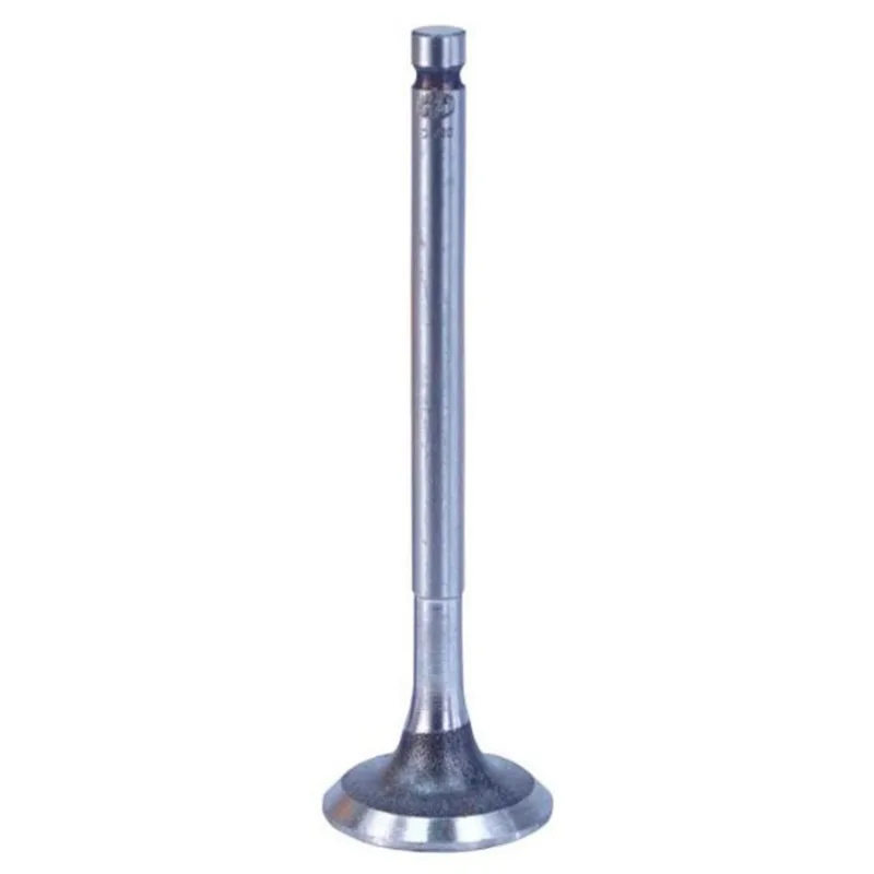 Válvula De Escape Marelli Honda Biz 125 06/18 (MP)
