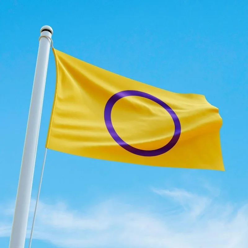 Bandeira Avulsa Orgulho Lgbt Cores Em Cetim Brilhante - Tamanho Grande 1,20m X 85cm Cor Intersexual - OUTRAS - Filmes E Séries
