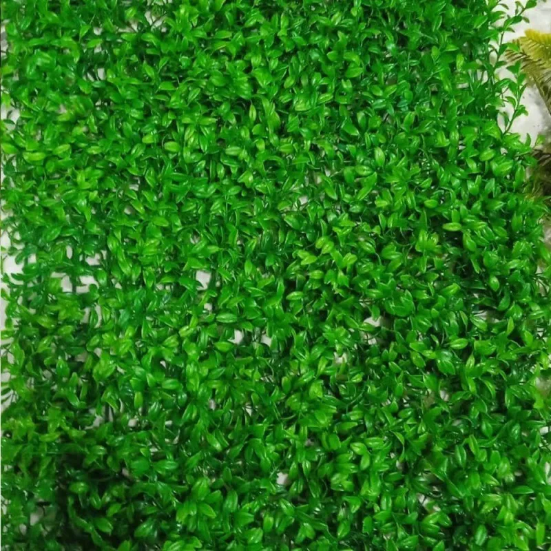 Placa De Grama Flor Arte Verde 40x60cm - OUTRAS MARCAS - Agro