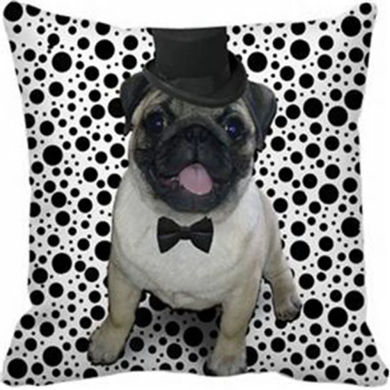 Almofada Magic Pug