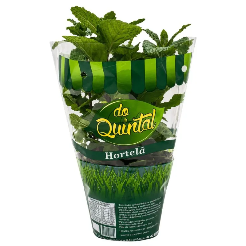 Muda de Hortelã em Vaso Do Quintal Unidade - DO QUINTAL - Hortifruti