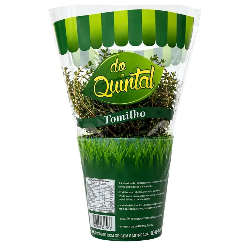 Muda de Tomilho em Vaso Do Quintal Unidade - DO QUINTAL