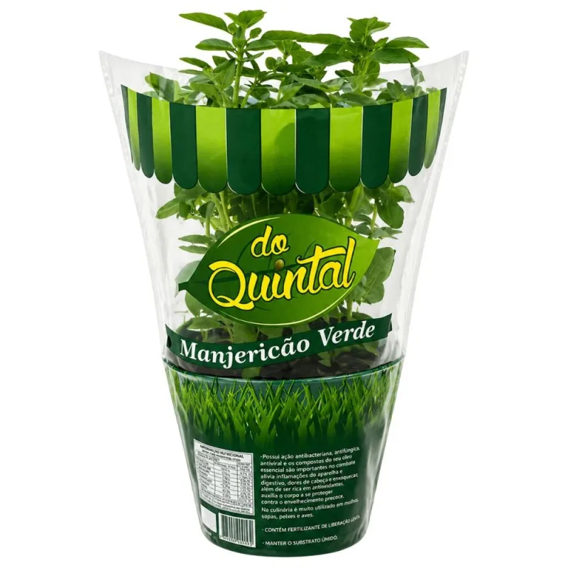 Muda de Manjericão Verde em Vaso Do Quintal Unidade - DO QUINTAL