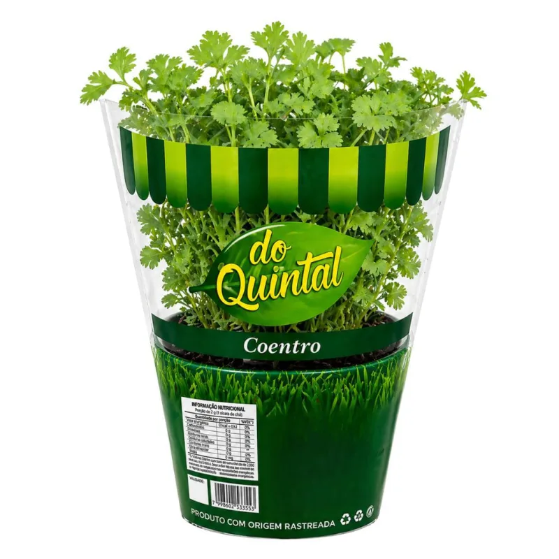 Muda de Coentro em Vaso Do Quintal Unidade - DO QUINTAL
