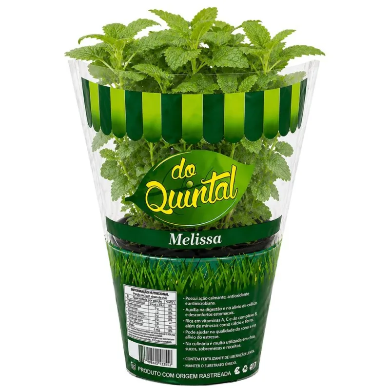 Muda de Melissa em Vaso Do Quintal Unidade - DO QUINTAL - Hortifruti