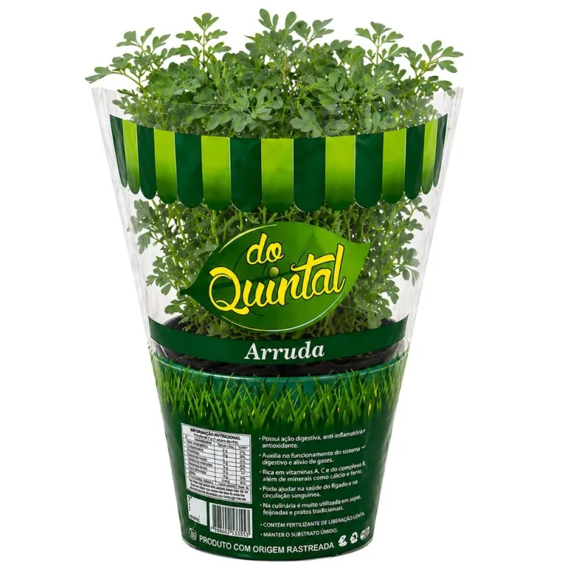 Muda de Arruda em Vaso Do Quintal Unidade - DO QUINTAL - Hortifruti