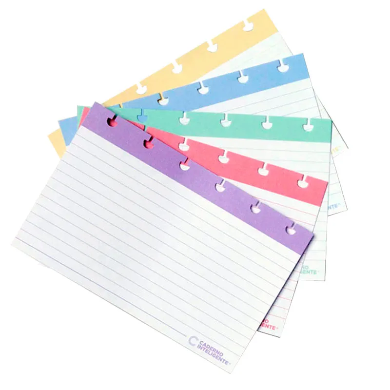 Ficha Pautada 4x6 Caderno Inteligente - LC - Papelaria