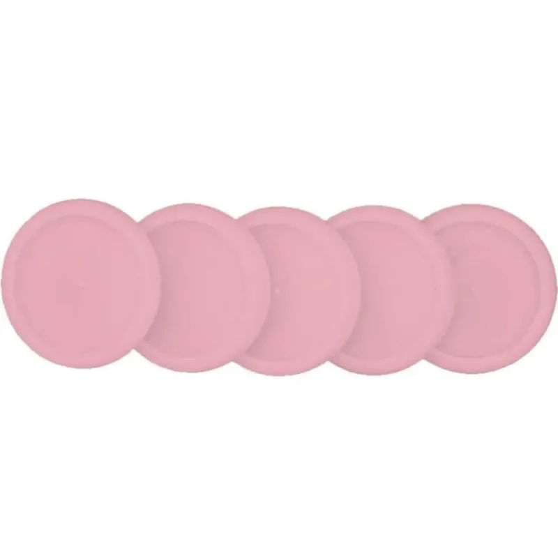 Discos Com Elástico Grande Rosa Sertão Para Caderno Inteligente