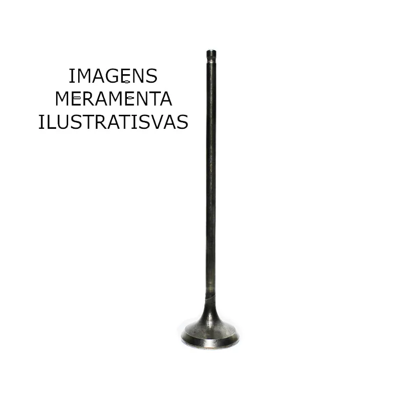Válvula Riosulense Admissão ML 125 / XL 125 / Turuna