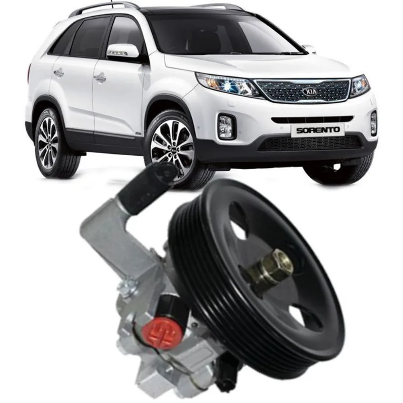 Bomba De Direção Hidráulica Sorento 2.4 16v De 2010 À 2015