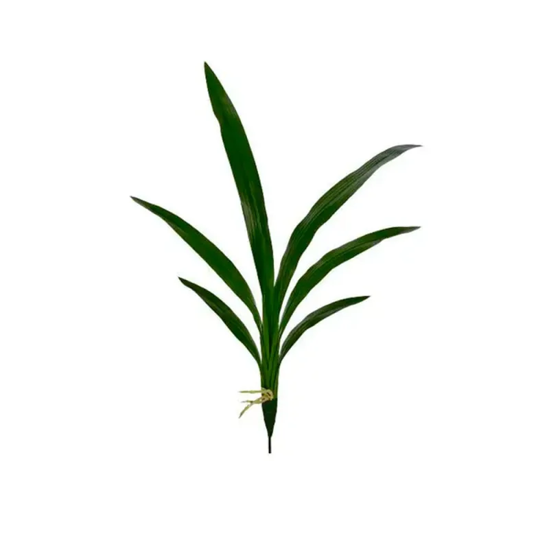 Folha Orquidea Grillo Plast Vde 29333 X6 - Grillo - Utilidades E Casa
