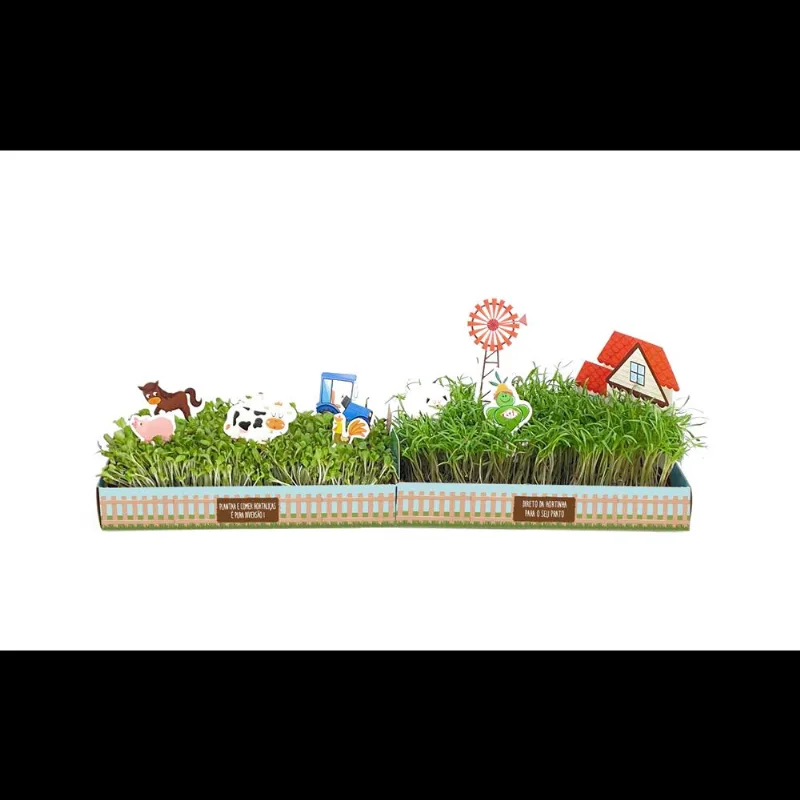 Kit De Cultivo Microverdes Fazendinha De Cenoura E Alface 1090.00 Isla