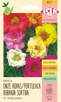 Semente Onze Horas Portulaca Dobrada Isla - Isla - área Externa